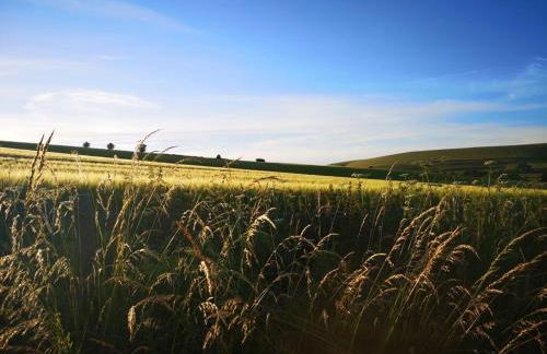 Kings Cottage - Heart of the Deverills - EV Point - Foto 37
