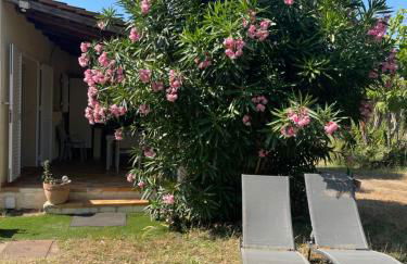 Palauma Plage - Foto 29