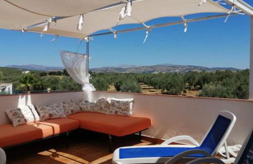 Finca Los Jacaros - Foto 6