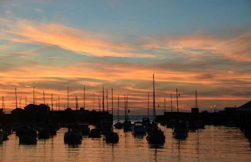 Cwt Mochyn Aberaeron - Photo 19