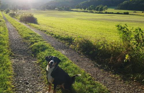 Ferienwohnung Parkblick Medebach - wunderschöne 52qm Dachterasse - in der Nähe von Center Parcs - Foto 30
