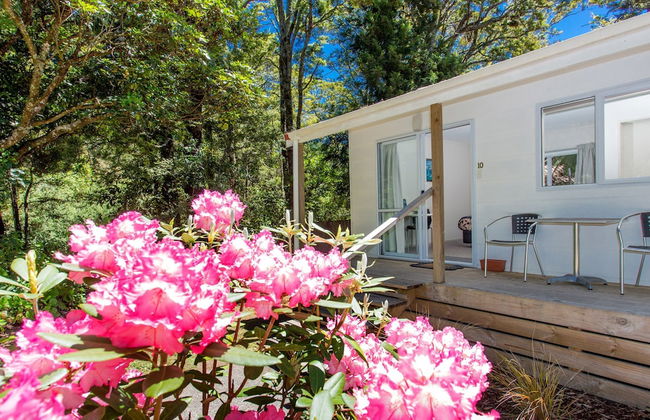 Ohakune TOP 10 Holiday Park - Foto 53