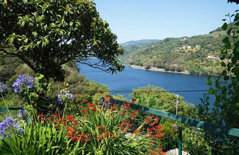 Quinta Da Porta Caseira - Foto 1