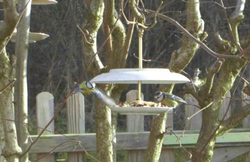 Vacation home with a view of nature, home theater, fireplace - Foto 28