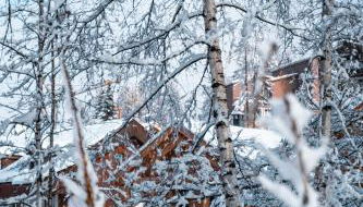 Ski et Détente Les Orres 1650 Animaux OK - Foto 2, Garden