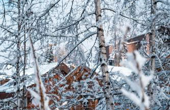 Ski et Détente Les Orres 1650 Animaux OK - Photo 2