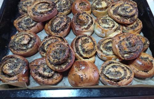 Agroturystyka Przy Siole Budy - Foto 54