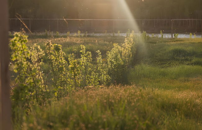 Ulaanbaatar - Foto 20