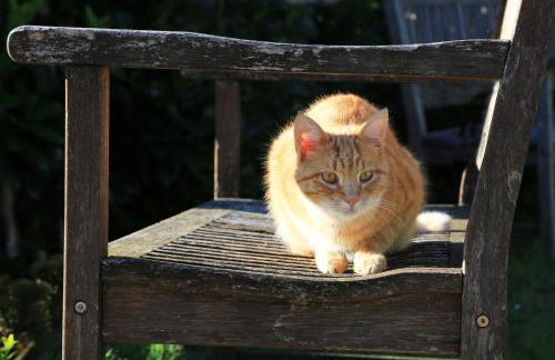 Heutauer Hof - Foto 11