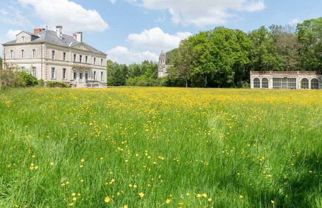 Chateau du Hallay - Foto 41