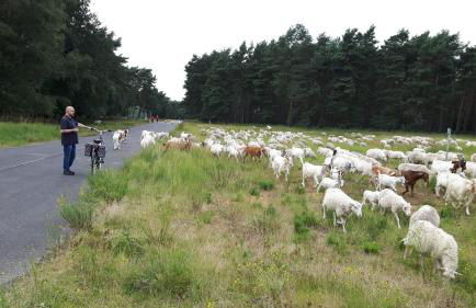 Ferienhaus Burgblick Brueggen - Foto 46