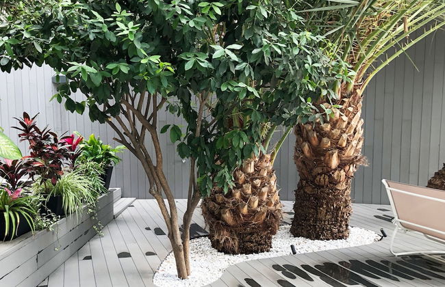 Calypso Boutique Apartments - Photo 37