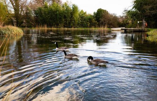 Orchard Cottage - Rudge Farm Cottages - Foto 23