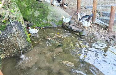 100mts beach Ribeirão da Ilha c Espaço Gourmet - Foto 4