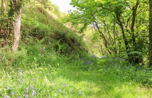 Glyn Yr Efail - Foto 32