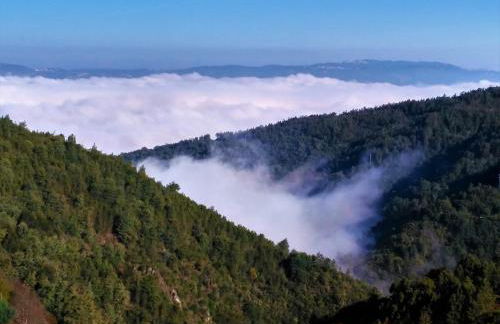 Talasnal Casa do Cascão - Foto 44