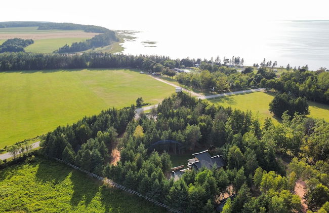 Wild Pines Cabins - Foto 36