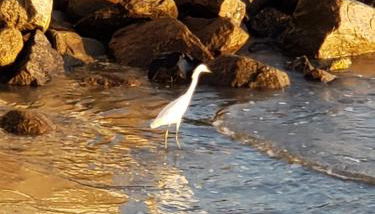 Apartamento PÉS NA AREIA - Foto 4