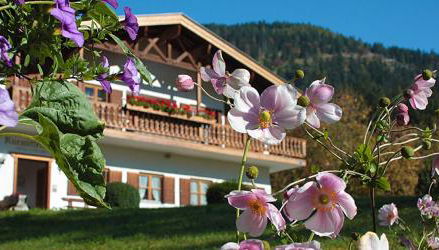 Ferienwohnungen am Ganglbach - Foto 2