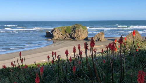 Dolphin Manor - Foto 3