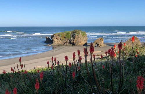 Dolphin Manor - Foto 3