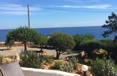 Arenal d´Or - Photo 18