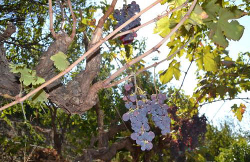 La casa del Prussiano - Foto 19