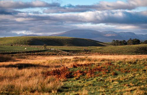 Craignair - Photo 29