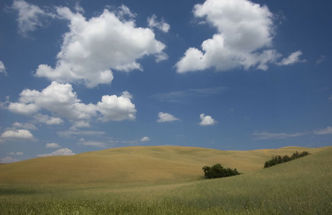 Agriturismo Belmonte Vacanze - Foto 68