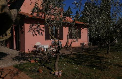 Podere Quercia al Santo - Foto 38