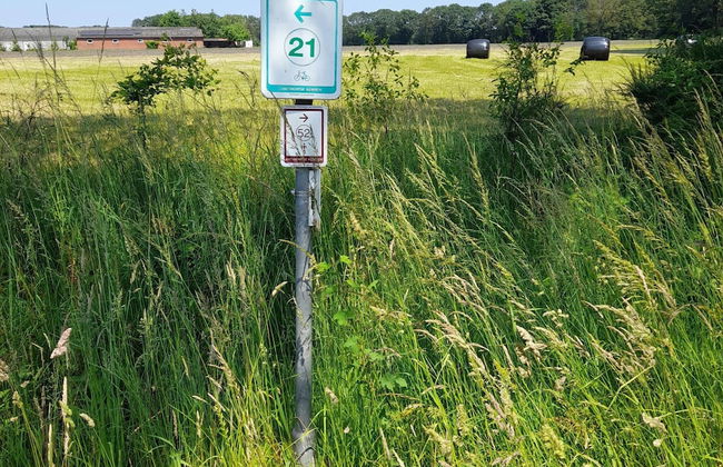 Oud-turnhout Nature Chalet - Foto 46