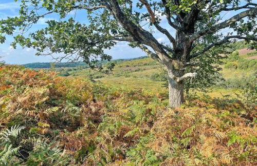 Alices Lodge - Foto 14