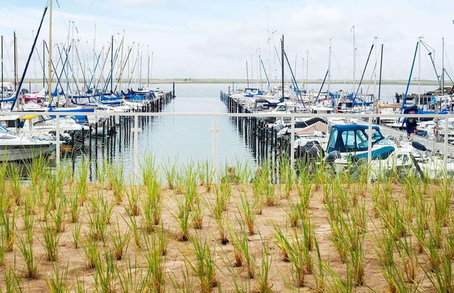 6 Personen Ferienhaus in Wendtorf - Foto 45