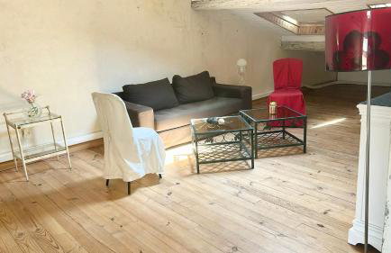 Les Bellevue Cité "4 Apartments, 1 with Garden & Private Parking, Aircon, WiFi, Free Public Car Park, 1 km from Cité" - Foto 78