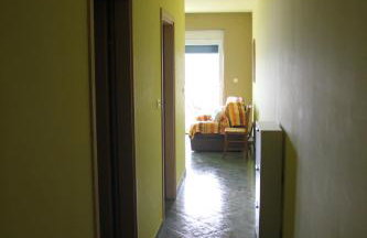 Primavera - Photo 38