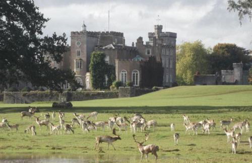 Charming Kenton Cottage - Foto 51