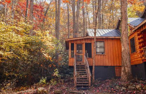 Bird's Nest cabin at Cabin Fever in NC - Foto 1