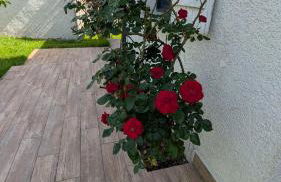 Belle Maison, calme avec parking - Foto 13