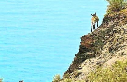 BALCON DEL DUENDE Seafront Paradise - Foto 67