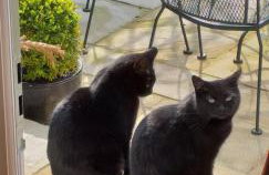 Offa Hideaway - Foto 14