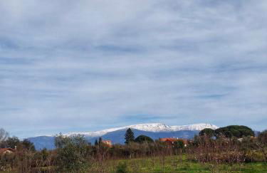 A Casa do Soito - Foto 5