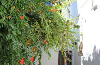 Casa Alcaida - Foto 27