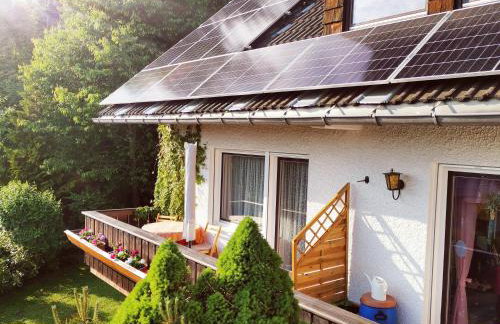 Ferienwohnungen Kremser bei Spiegelau Eppenschlag - Foto 22