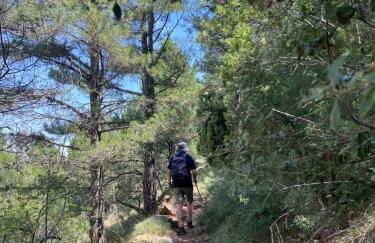 MOLINO DOLZ - Foto 31