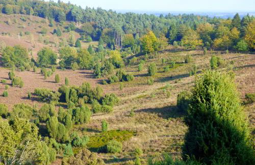 Fewo-Mundi - Foto 37