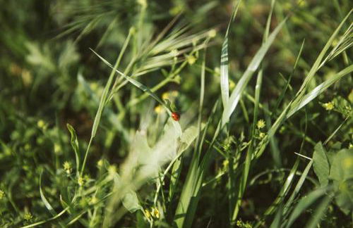 Villa Venti - Craft Wine & Hospitality - Foto 39