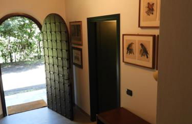 Sant'Andrea - Monticello Apartments - Photo 5