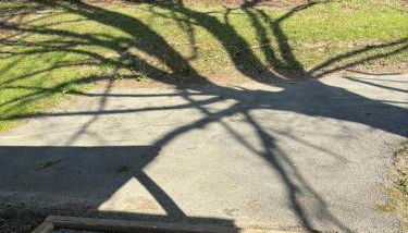 Colton Loop - Foto 2