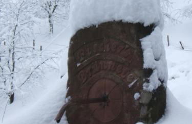 Ferienhof Fischer - Foto 24