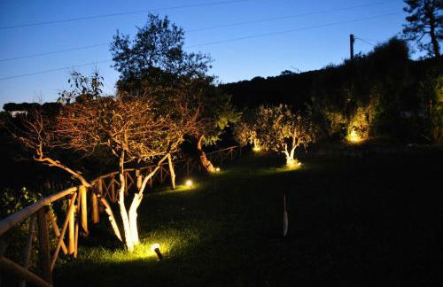 Agriturismo MonteMaggio - Foto 54